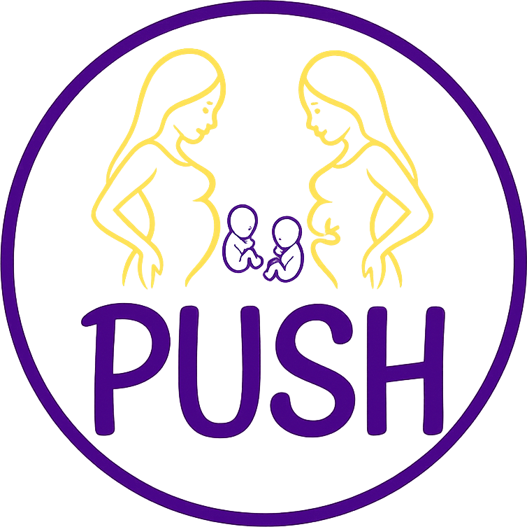 PUSH ministry emblem